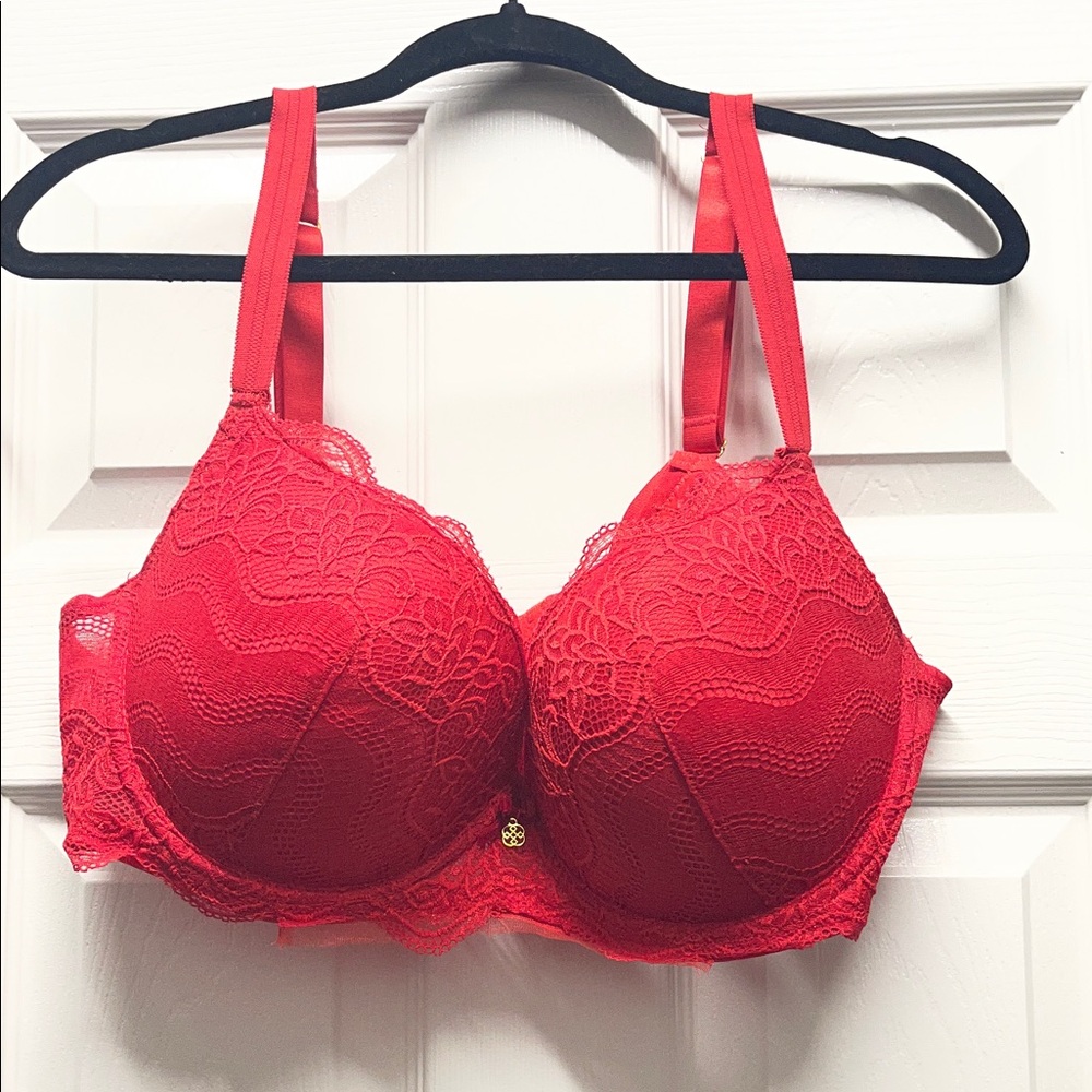 Daisy Fuentes Red Lace Underwire Bra